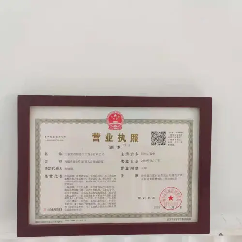 Company license in China