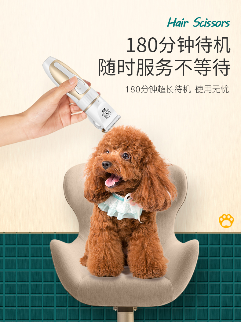 A range of pet grooming accessories