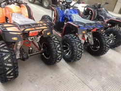 atv control inspection